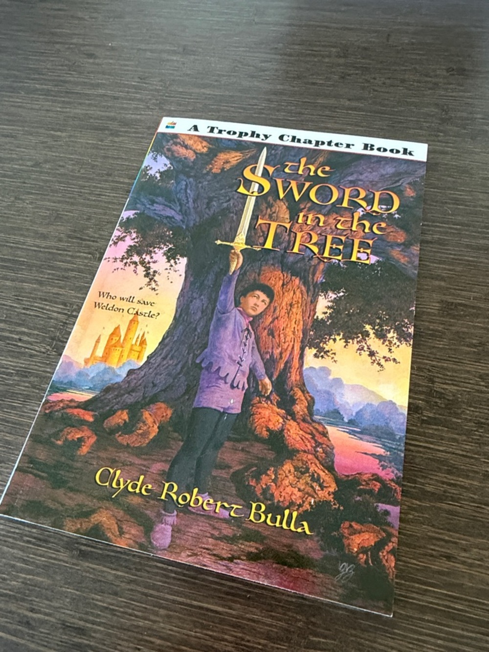 The Sword in The Tree - Paperback